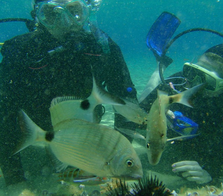 Scuba Diving on Paros Greece